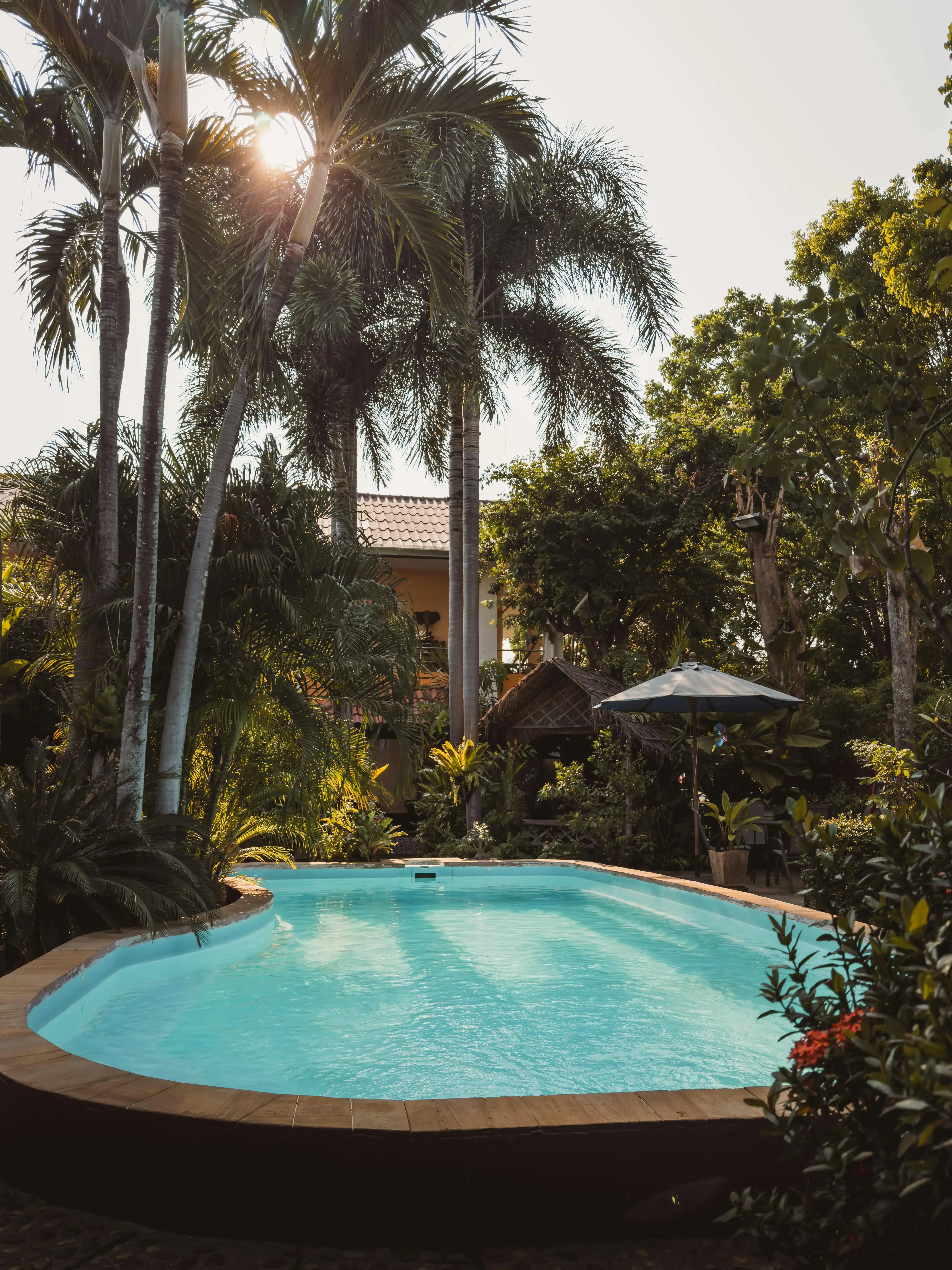 Entretien piscine premium